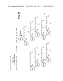 METALLOFULLERENE CONTRAST AGENTS diagram and image