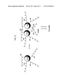 METALLOFULLERENE CONTRAST AGENTS diagram and image