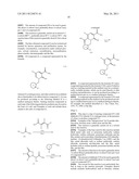 IMINOPYRIDINE DERIVATIVES AND USE THEREOF diagram and image