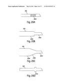 METHODS AND DEVICES FOR SENSING TISSUES AND TISSUE COMPARTMENTS diagram and image