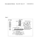 HYDROGEL-GRAFTED DEGRADABLE NERVE GUIDES diagram and image