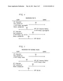 Tailored Protection of Personally Identifiable Information diagram and image