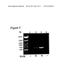 Transgenic Mice Over-Expressing Receptor For Advanced Glycation Endproduct (RAGE) In Brain And Uses Thereof diagram and image