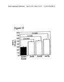 Transgenic Mice Over-Expressing Receptor For Advanced Glycation Endproduct (RAGE) In Brain And Uses Thereof diagram and image