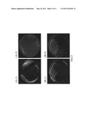 Mutant blue fluorescent protein and method of using the same for fluorescence resonance energy transfer and blue fluorescent fish diagram and image