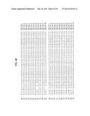 SUCROSE TRANSPORTER GENES FOR INCREASING PLANT SEED LIPIDS diagram and image