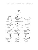 Method for producing rose with altered petal colors diagram and image