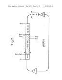 Method for producing rose with altered petal colors diagram and image