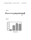 Plant having resistance to low-temperature stress and method of production thereof. diagram and image