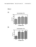 Plant having resistance to low-temperature stress and method of production thereof. diagram and image