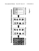 METHODS OF INCREASING ABIOTIC STRESS TOLERANCE AND/OR BIOMASS IN PLANTS AND PLANTS GENERATED THEREBY diagram and image