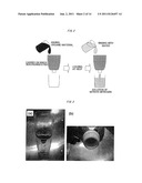 METHOD FOR PRODUCING CARRIER ON WHICH MICROORGANISMS CAPABLE OF CONDUCTING     MULTIPLE PARALLEL MINERALIZATION ARE IMMOBILIZED, COLUMN REACTOR AND     SOLID MEDIUM FOR CULTIVATING PLANTS diagram and image