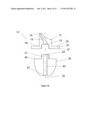 DELIVERY DEVICE AND KIT diagram and image