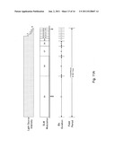 Display system for higher grayscale with a varying light source diagram and image