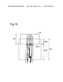 BIOMETRIC AUTHENTICATION APPARATUS AND BIOMETRIC AUTHENTICATION METHOD diagram and image