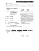 METHOD FOR MANUFACTURING MASSIVE COMPONENTS MADE OF INTERMETALLIC     MATERIALS diagram and image