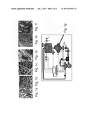 Methods for Cell Expansion and Uses of Cells and Conditioned Media     Produced Thereby for Therapy diagram and image