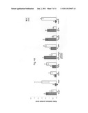 Methods for Cell Expansion and Uses of Cells and Conditioned Media     Produced Thereby for Therapy diagram and image