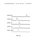 ANTI-NR10 ANTIBODY AND USE THEREOF diagram and image