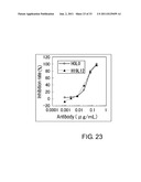 ANTI-NR10 ANTIBODY AND USE THEREOF diagram and image