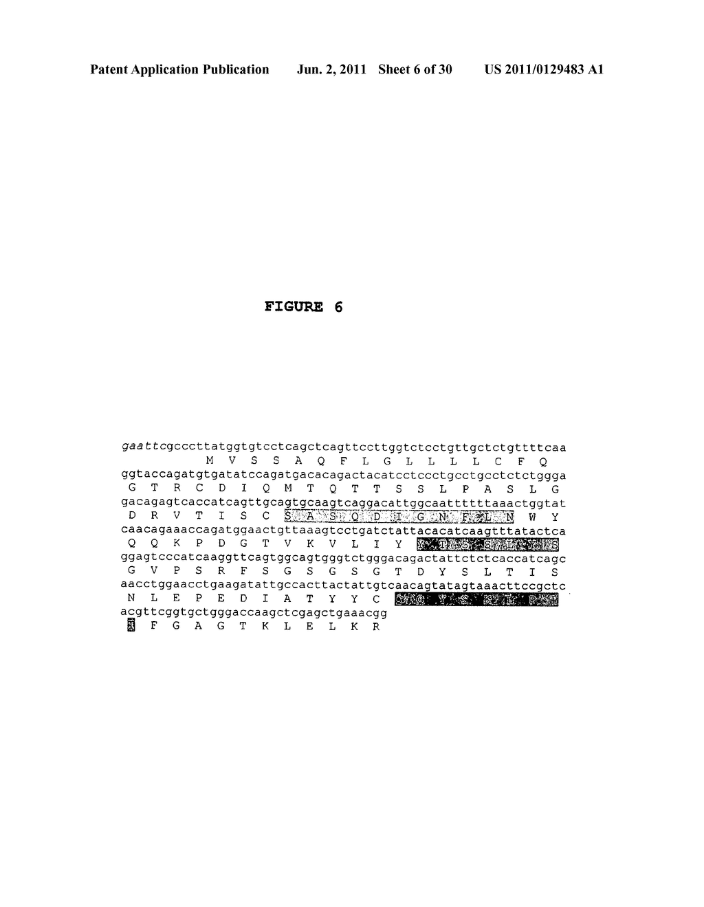 Membrane transporter NaPi2b (SCL34A1) epitope for antibody therapy,     antibodies directed thereto, and target for cancer therapy - diagram, schematic, and image 07