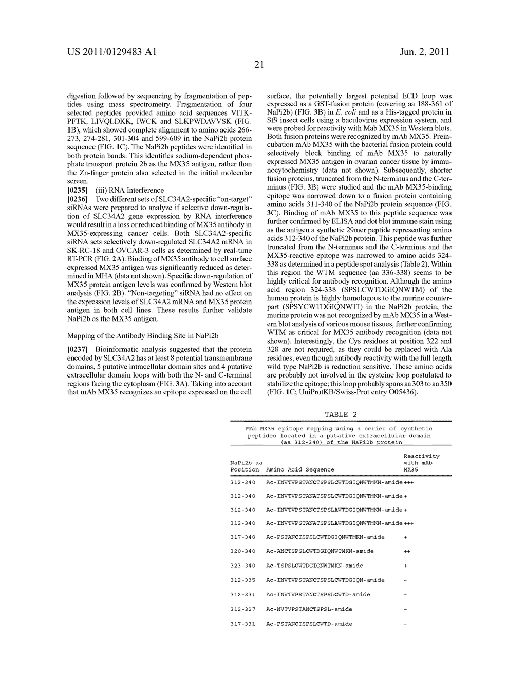 Membrane transporter NaPi2b (SCL34A1) epitope for antibody therapy,     antibodies directed thereto, and target for cancer therapy - diagram, schematic, and image 52