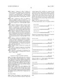 Membrane transporter NaPi2b (SCL34A1) epitope for antibody therapy,     antibodies directed thereto, and target for cancer therapy diagram and image