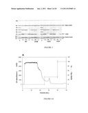 Modified Galectin-2 and Uses Thereof diagram and image