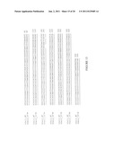 Modified Galectin-2 and Uses Thereof diagram and image