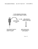 DEVICE, KIT AND METHOD FOR PULSING BIOLOGICAL SAMPLES WITH AN AGENT AND     STABILISING THE SAMPLE SO PULSED diagram and image