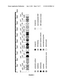 CYANOBACTERIA SAXITOXIN GENE CLUSTER AND DETECTION OF CYANOTOXIC ORGANISMS diagram and image