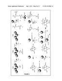 CYANOBACTERIA SAXITOXIN GENE CLUSTER AND DETECTION OF CYANOTOXIC ORGANISMS diagram and image