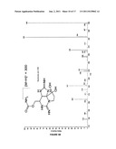 CYANOBACTERIA SAXITOXIN GENE CLUSTER AND DETECTION OF CYANOTOXIC ORGANISMS diagram and image