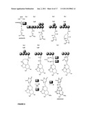 CYANOBACTERIA SAXITOXIN GENE CLUSTER AND DETECTION OF CYANOTOXIC ORGANISMS diagram and image