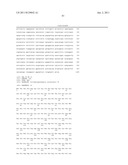 CYANOBACTERIA SAXITOXIN GENE CLUSTER AND DETECTION OF CYANOTOXIC ORGANISMS diagram and image