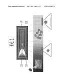 MICROFLUIDIC CONTROL CHIP AND METHOD  OF DETECTING PROTEIN USING THE SAME diagram and image