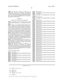 Antibody Recognizing G Protein, and Agent and Kit Using the Same diagram and image