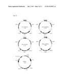 METHOD FOR A PRODUCTION OF A RECOMBINANT PROTEIN USING YEAST CO-EXPRESSION     SYSTEM diagram and image