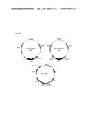 METHOD FOR A PRODUCTION OF A RECOMBINANT PROTEIN USING YEAST CO-EXPRESSION     SYSTEM diagram and image