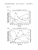 METHOD FOR A PRODUCTION OF A RECOMBINANT PROTEIN USING YEAST CO-EXPRESSION     SYSTEM diagram and image