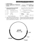 PULLULANASE VARIANTS AND METHODS FOR PREPARING SUCH VARIANTS WITH     PREDETERMINED PROPERTIES diagram and image