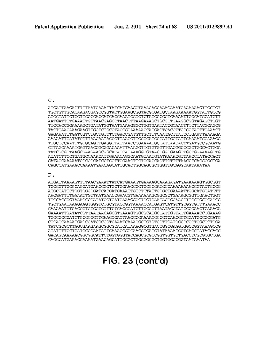 MICROORGANISMS FOR THE PRODUCTION OF 1,4-BUTANEDIOL, 4-HYDROXYBUTANAL,     4-HYDROXYBUTYRYL-COA, PUTRESCINE AND RELATED COMPOUNDS, AND METHODS     RELATED THERETO - diagram, schematic, and image 25