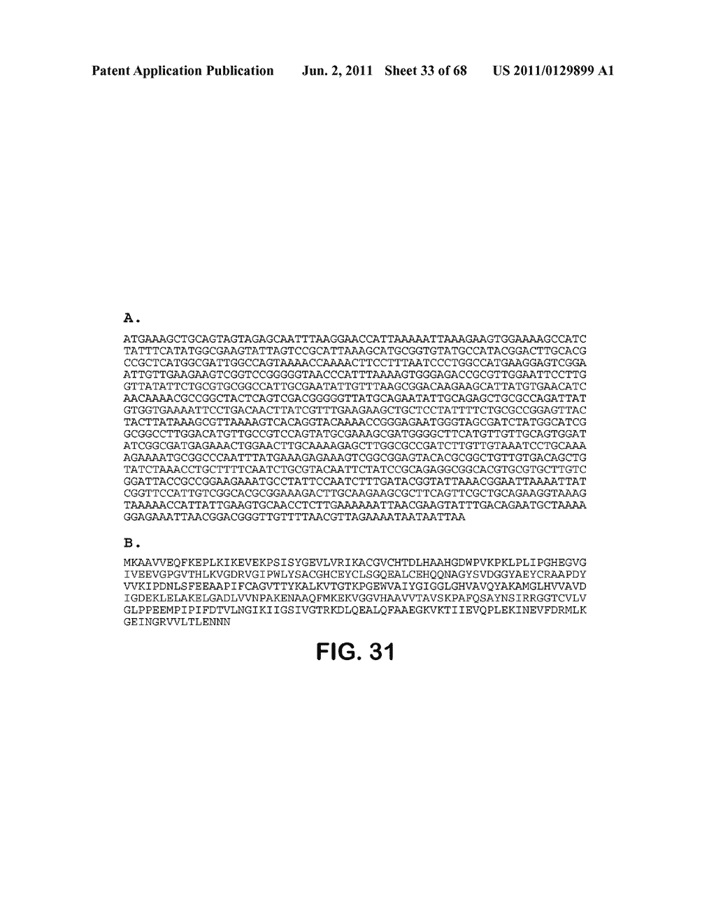 MICROORGANISMS FOR THE PRODUCTION OF 1,4-BUTANEDIOL, 4-HYDROXYBUTANAL,     4-HYDROXYBUTYRYL-COA, PUTRESCINE AND RELATED COMPOUNDS, AND METHODS     RELATED THERETO - diagram, schematic, and image 34