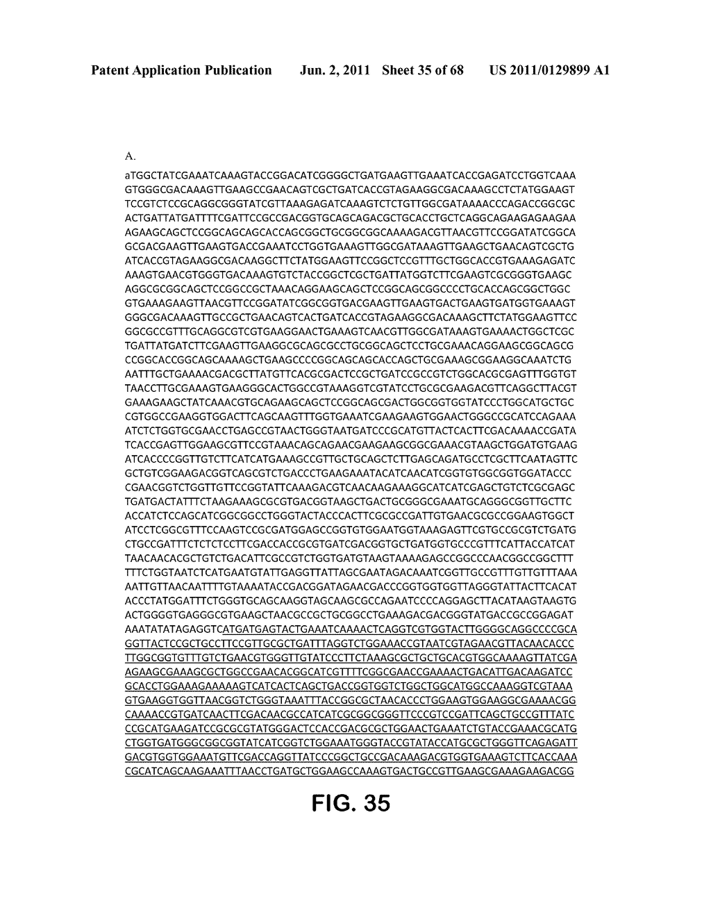 MICROORGANISMS FOR THE PRODUCTION OF 1,4-BUTANEDIOL, 4-HYDROXYBUTANAL,     4-HYDROXYBUTYRYL-COA, PUTRESCINE AND RELATED COMPOUNDS, AND METHODS     RELATED THERETO - diagram, schematic, and image 36