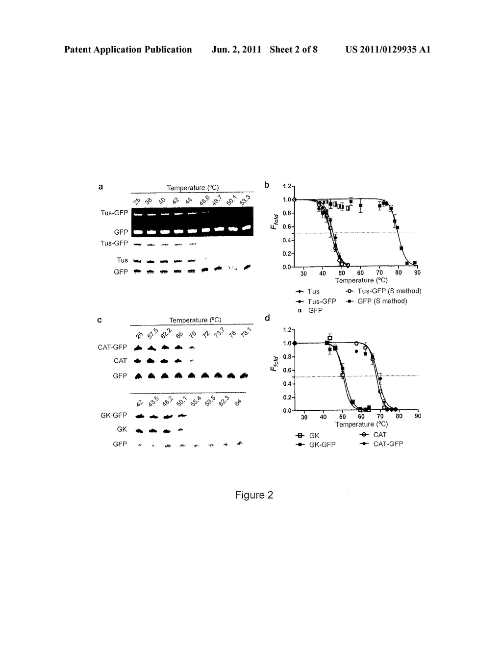 PROTEIN STABILITY ASSAY USING A FLUORESCENT REPORTER OF PROTEIN FOLDING - diagram, schematic, and image 03