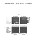 SEMICONDUCTOR DETECTOR FOR PEROXIDE-BASED EXPLOSIVES diagram and image