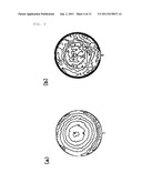 WAFER POLISHING METHOD AND DOUBLE-SIDE POLISHING APPARATUS diagram and image