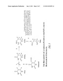 METHODS FOR PREVENTING OR REDUCING NEUROTOXICITY ASSOCIATED WITH     ADMINISTERING DPD INHIBITORS IN COMBINATION WITH 5-FU AND 5-FU PRODRUGS diagram and image