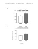 Methods and Compositions for the Treatment of Chronic Renal Hypertension diagram and image