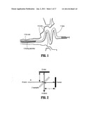 SYSTEM AND METHOD FOR RECONSTRUCTION OF THE HUMAN EAR CANAL FROM OPTICAL     COHERENCE TOMOGRAPHY SCANS diagram and image